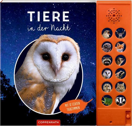 Cover-Bild Tiere in der Nacht