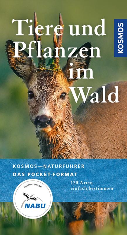 Cover-Bild Tiere und Pflanzen im Wald