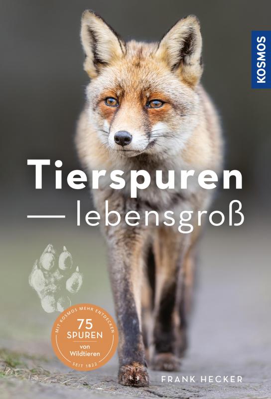 Cover-Bild Tierspuren lebensgroß