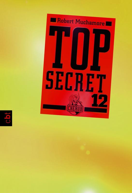 Cover-Bild Top Secret 12 - Die Entscheidung