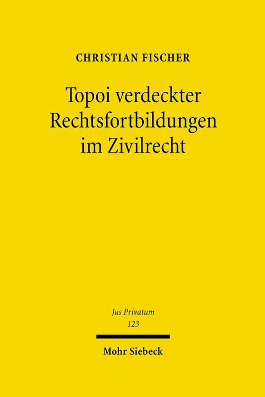 Cover-Bild Topoi verdeckter Rechtsfortbildungen im Zivilrecht