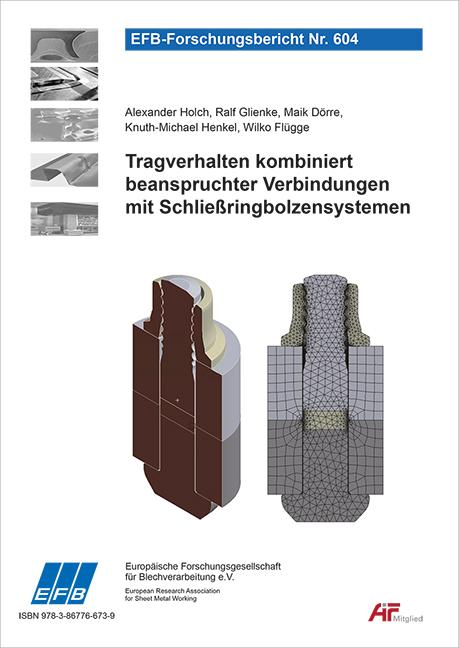 Cover-Bild Tragverhalten kombiniert beanspruchter Verbindungen mit Schließringbolzensystemen