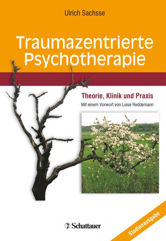 Cover-Bild Traumazentrierte Psychotherapie