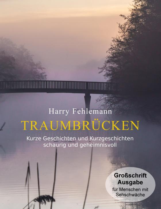 Cover-Bild Traumbrücken