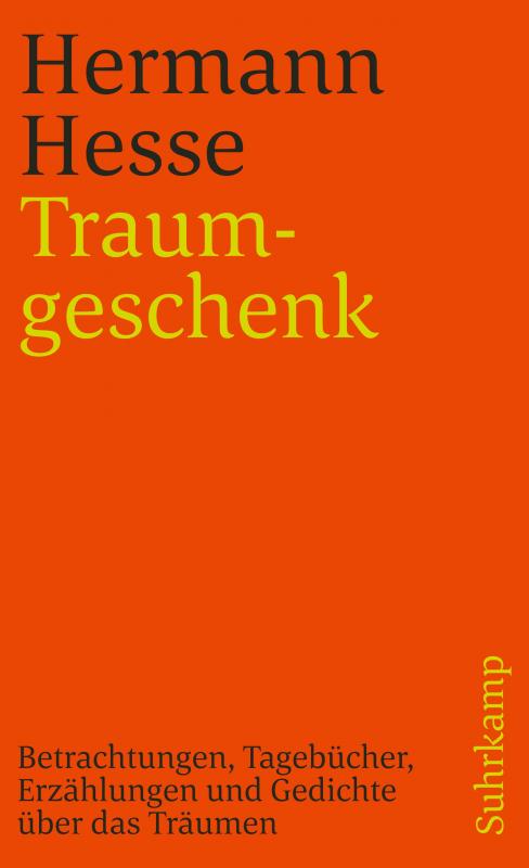 Cover-Bild Traumgeschenk