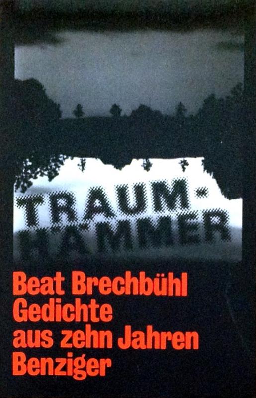 Cover-Bild Traumhämmer