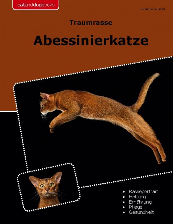 Cover-Bild Traumrasse Abessinierkatze