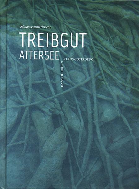 Cover-Bild Treibgut Attersee