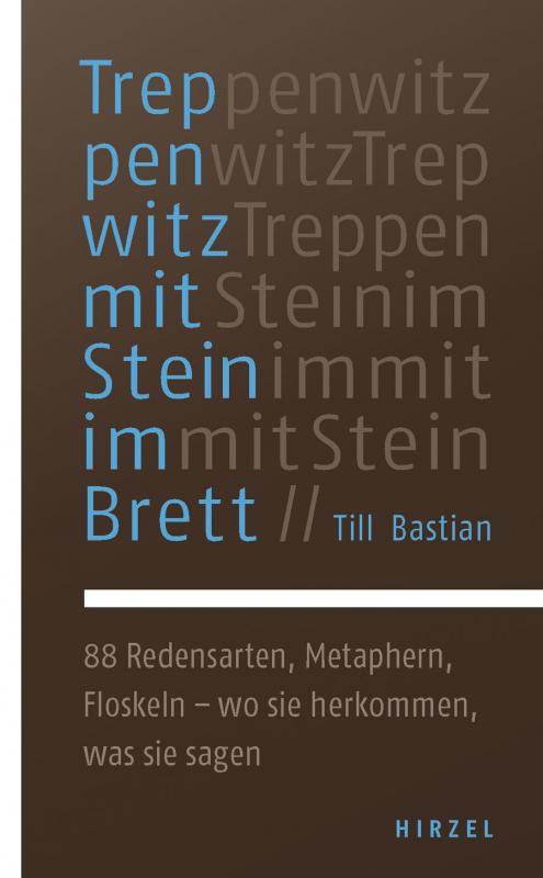 Cover-Bild Treppenwitz mit Stein im Brett