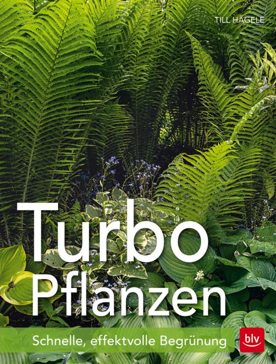 Cover-Bild Turbo-Pflanzen