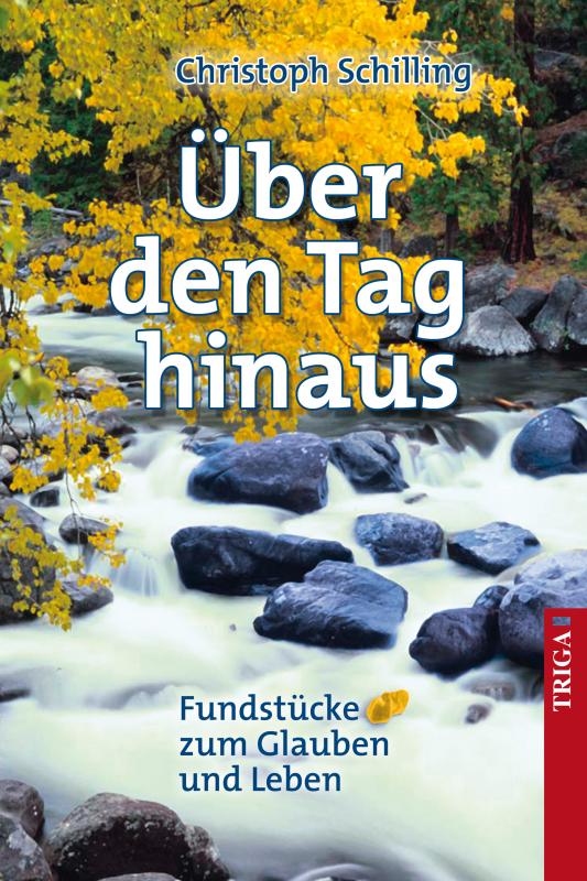 Cover-Bild Über den Tag hinaus