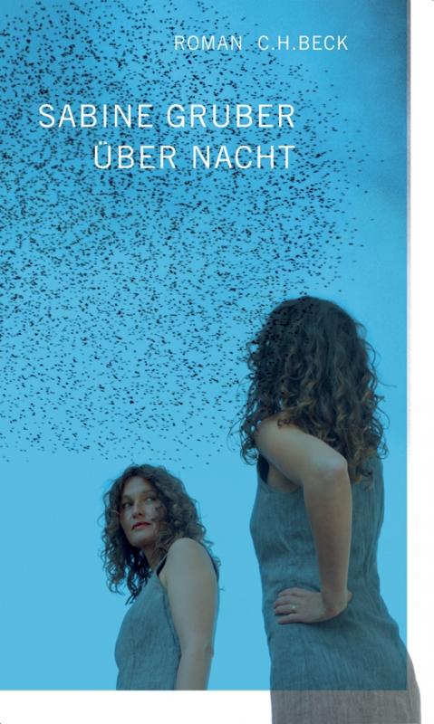 Cover-Bild Über Nacht