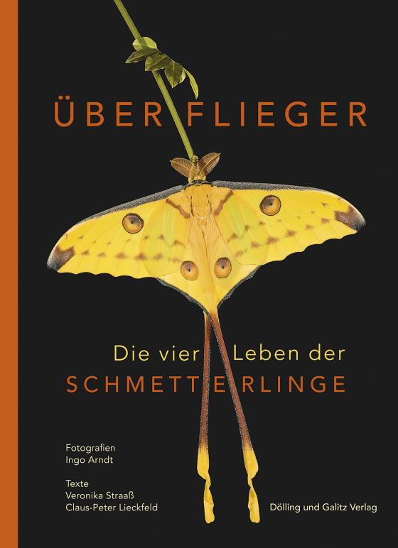 Cover-Bild Überflieger. Die vier Leben der Schmetterlinge