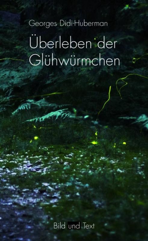 Cover-Bild Überleben der Glühwürmchen