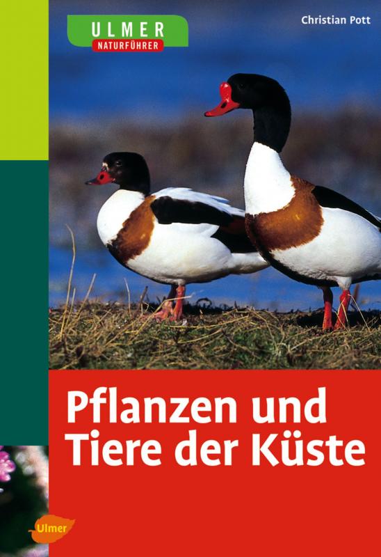 Cover-Bild Ulmer Naturführer Pflanzen und Tiere der Küste