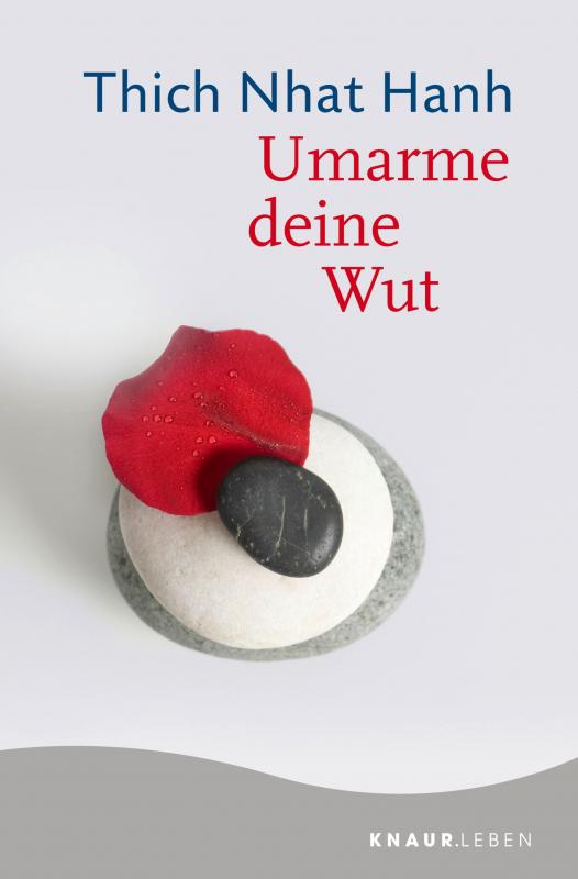 Cover-Bild Umarme deine Wut