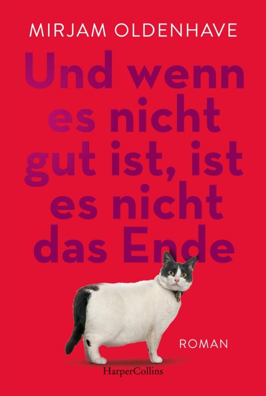 Cover-Bild Und wenn es nicht gut ist, ist es nicht das Ende