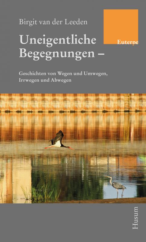 Cover-Bild Uneigentliche Begegnungen