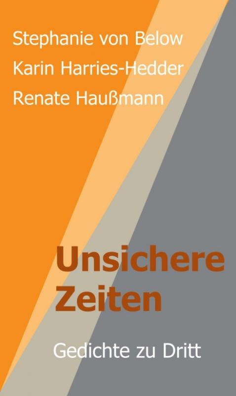 Cover-Bild Unsichere Zeiten