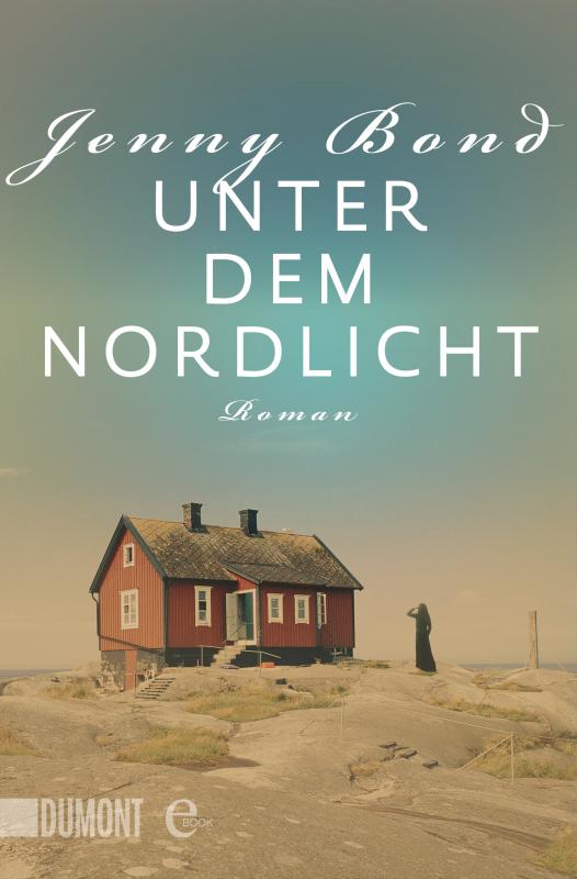 Cover-Bild Unter dem Nordlicht