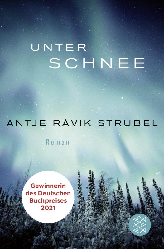Cover-Bild Unter Schnee