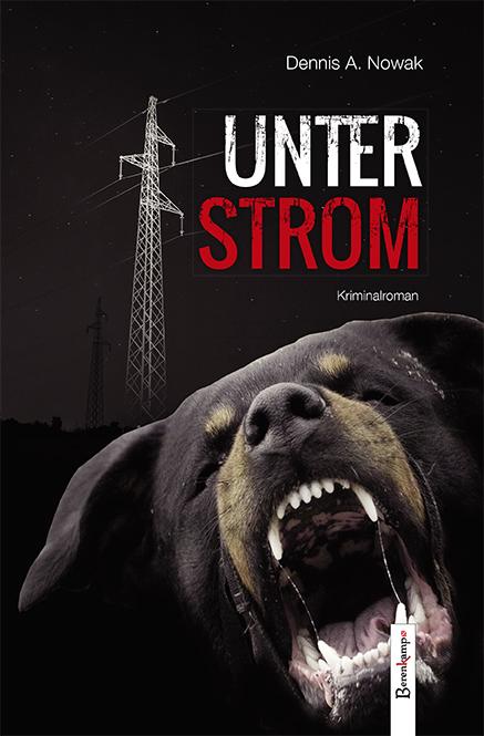 Cover-Bild Unter Strom