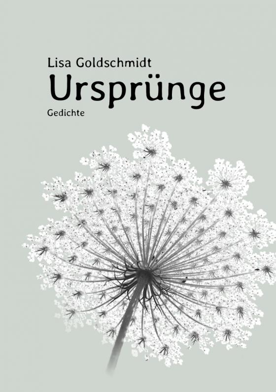 Cover-Bild Ursprünge