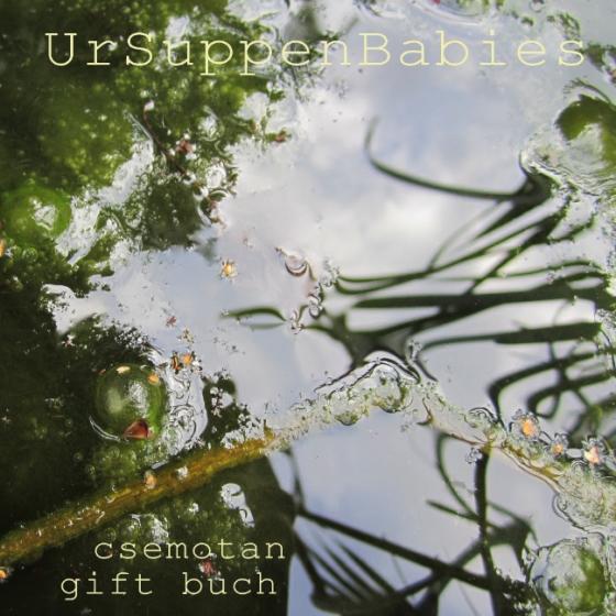 Cover-Bild UrSuppenBabies