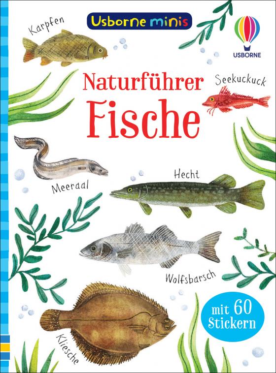 Cover-Bild Usborne Minis Naturführer: Fische