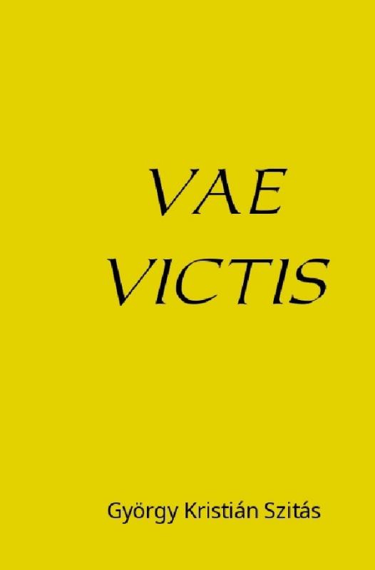 Cover-Bild Vae Victis