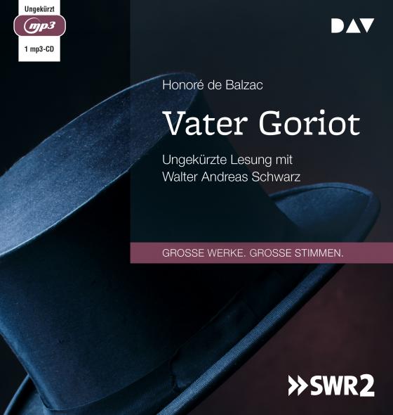 Cover-Bild Vater Goriot