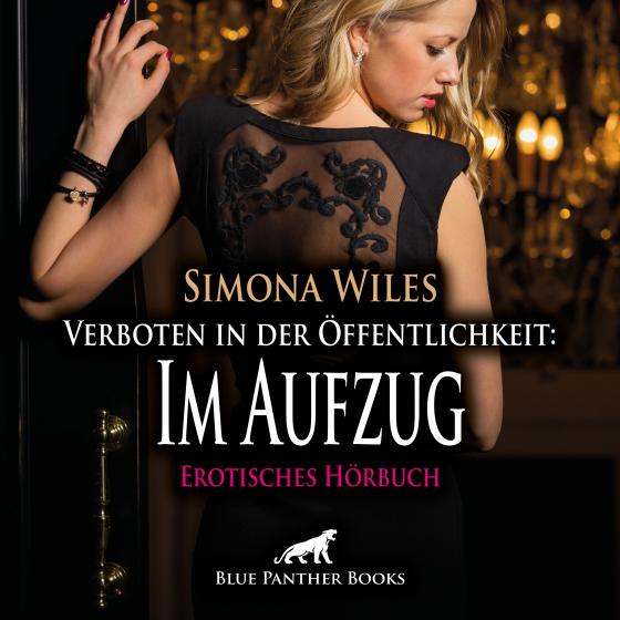 Cover-Bild Verboten in der Öffentlichkeit: Im Aufzug | Erotische Geschichte Audio CD