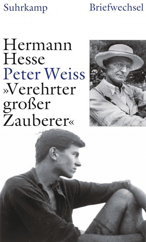 Cover-Bild »Verehrter großer Zauberer«