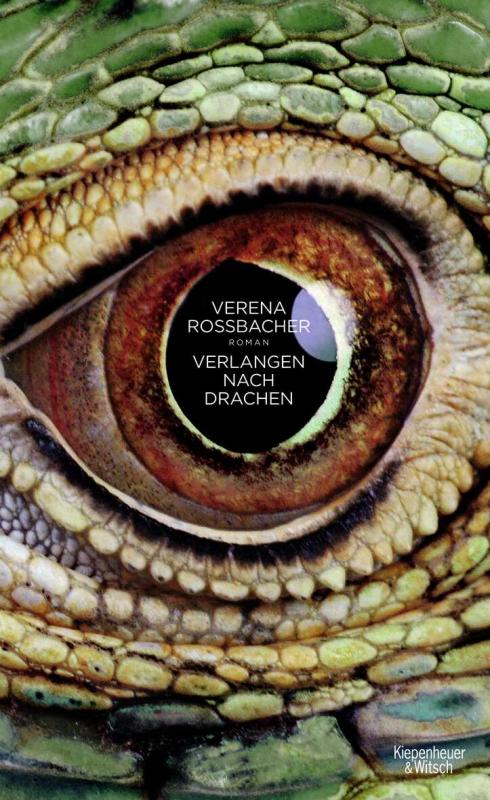 Cover-Bild Verlangen nach Drachen