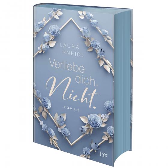 Cover-Bild Verliebe dich. Nicht.: Special Edition