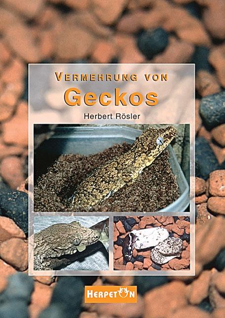 Cover-Bild Vermehrung von Geckos