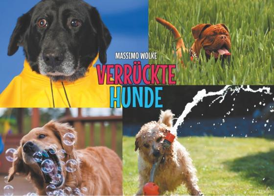 Cover-Bild Verrückte Hunde