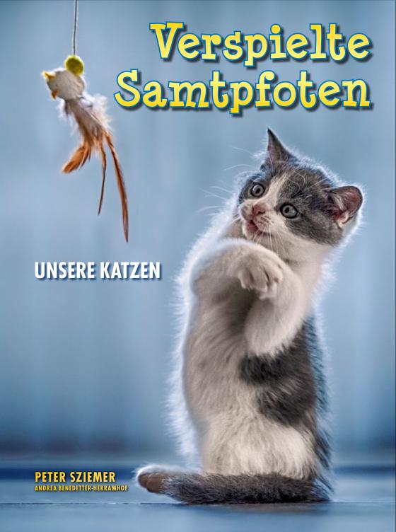 Cover-Bild Verspielte Samtpfoten