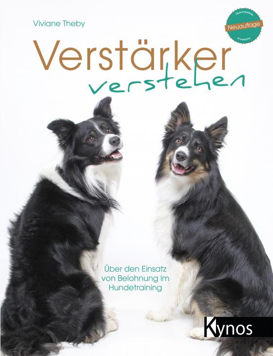 Cover-Bild Verstärker verstehen