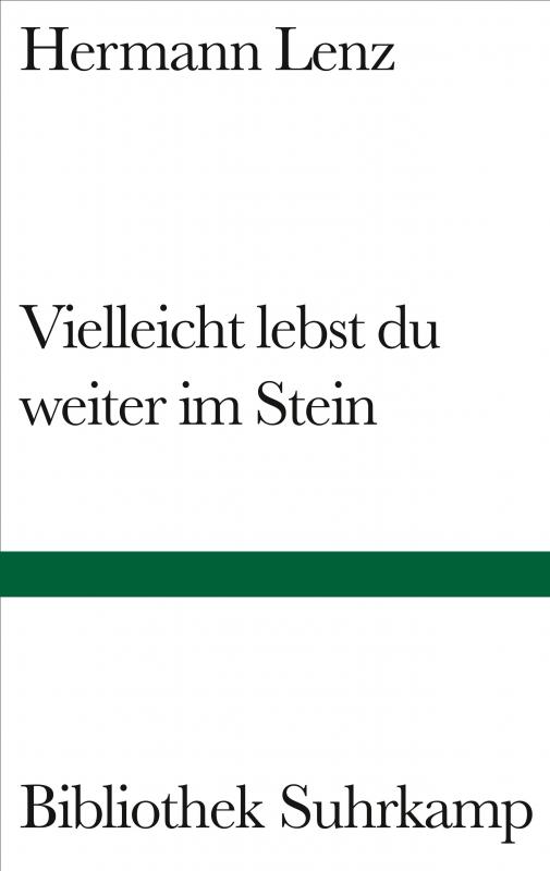 Cover-Bild Vielleicht lebst du weiter im Stein