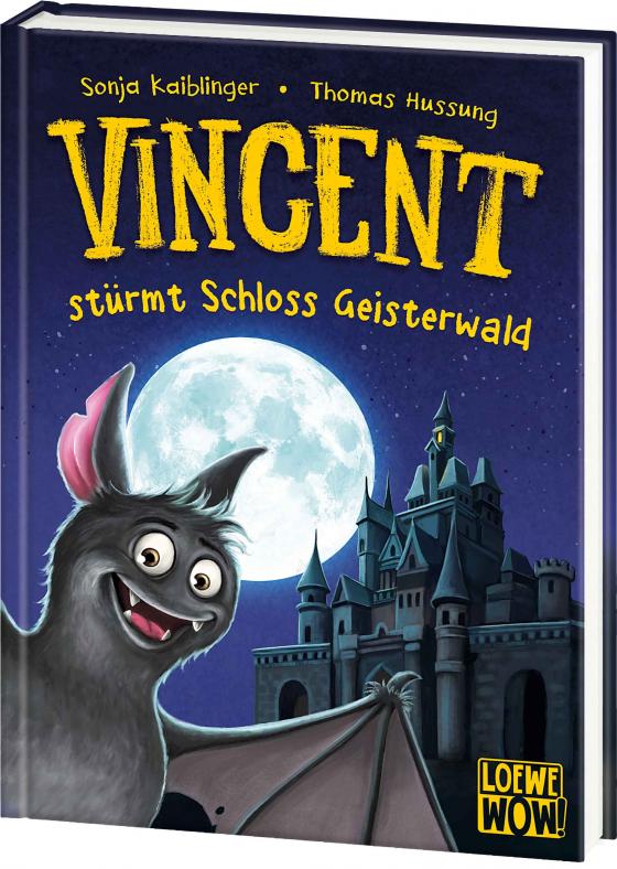 Cover-Bild Vincent stürmt Schloss Geisterwald (Band 4)