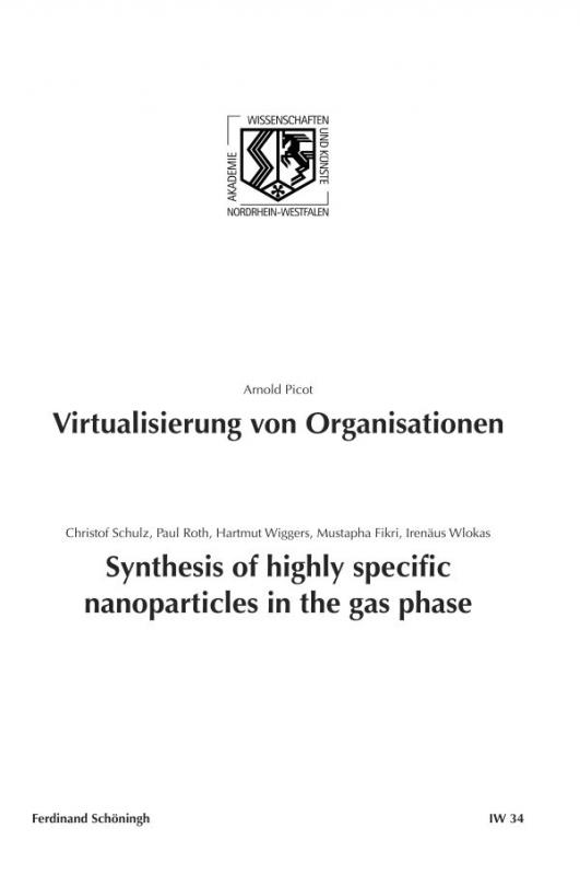 Cover-Bild Virtualisierung von Organisationen. Synthesis of highly specific Nanoparticles in the gas phase