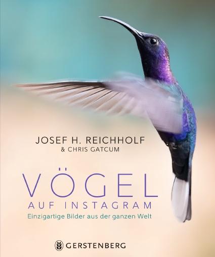 Cover-Bild Vögel auf Instagram