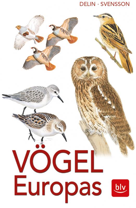 Cover-Bild Vögel Europas