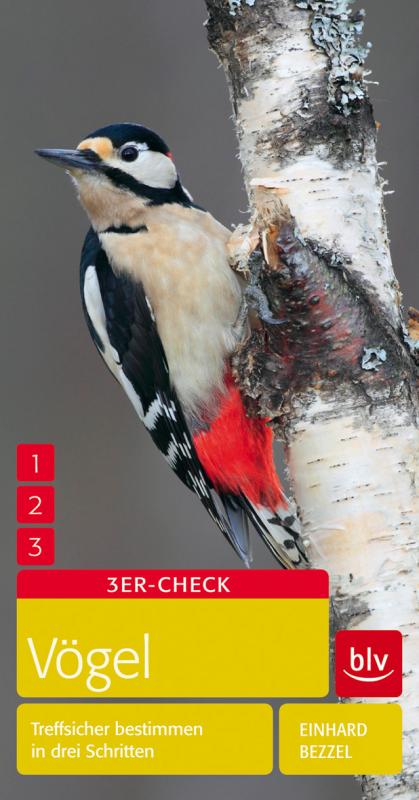 Cover-Bild Vögel