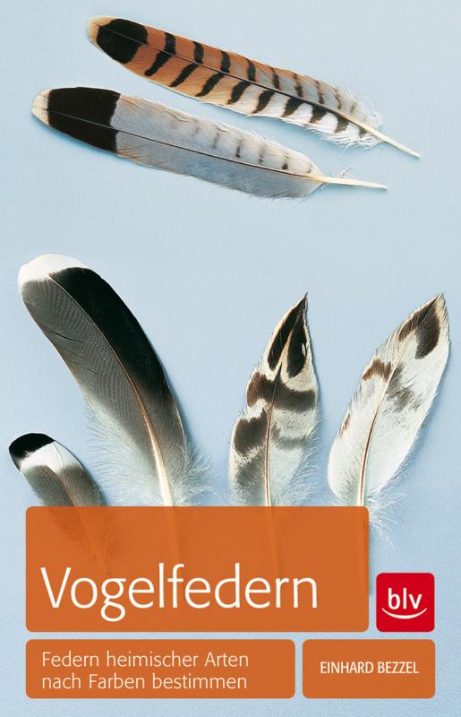 Cover-Bild Vogelfedern