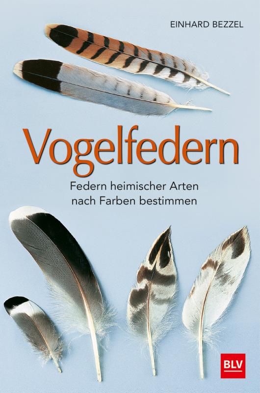 Cover-Bild Vogelfedern