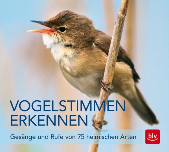 Cover-Bild Vogelstimmen erkennen / CD