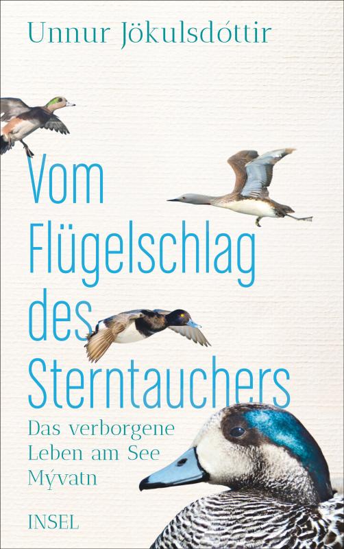 Cover-Bild Vom Flügelschlag des Sterntauchers