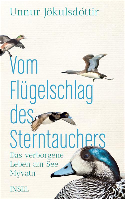 Cover-Bild Vom Flügelschlag des Sterntauchers